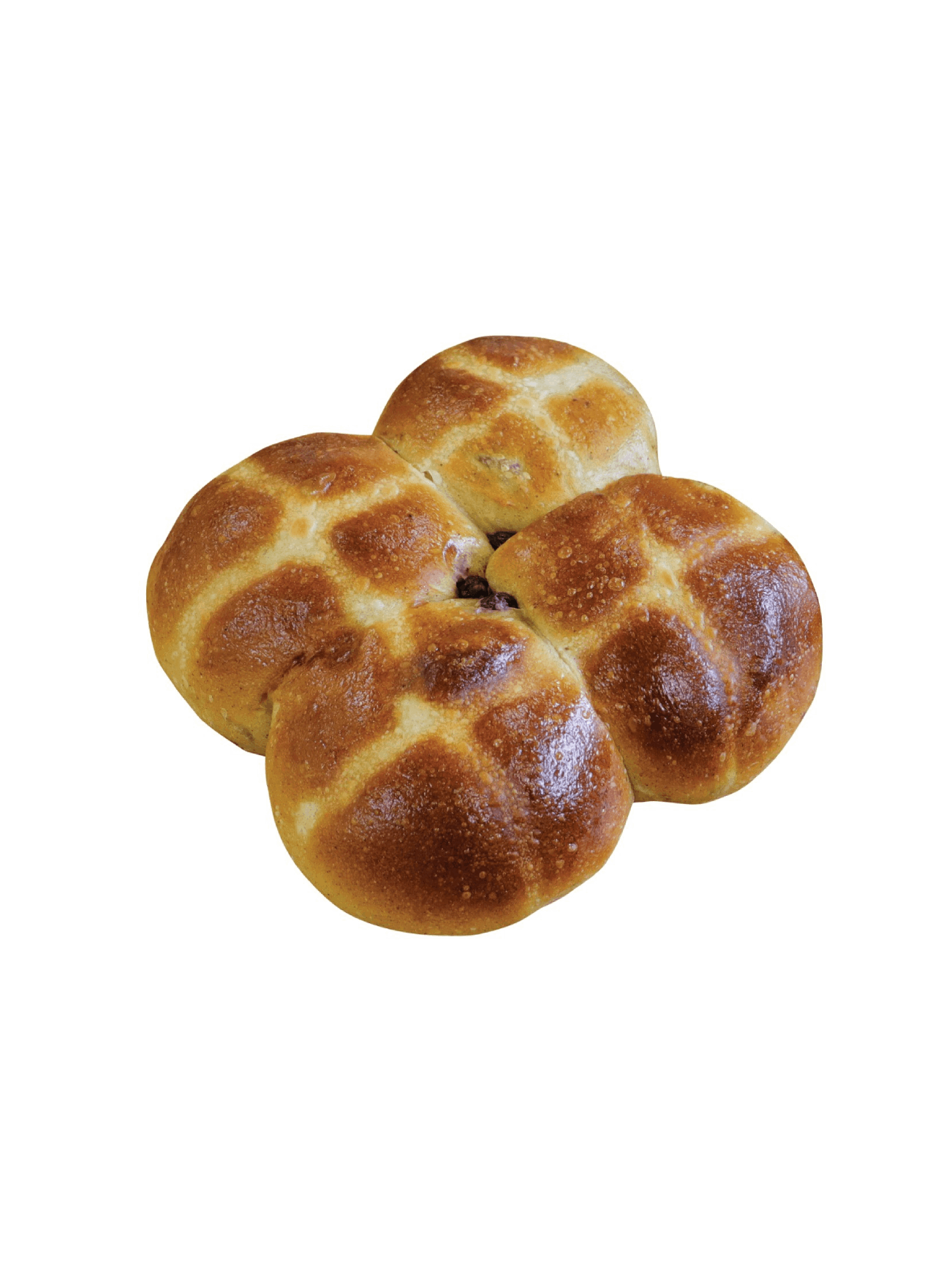 H HOT CROSS BUN CINNAMON 4S